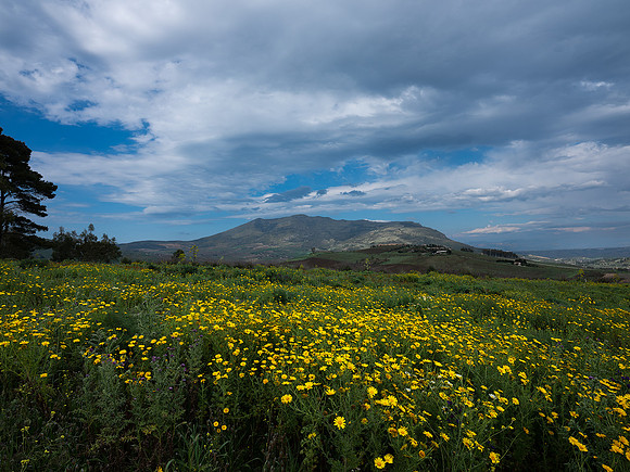 Segesta