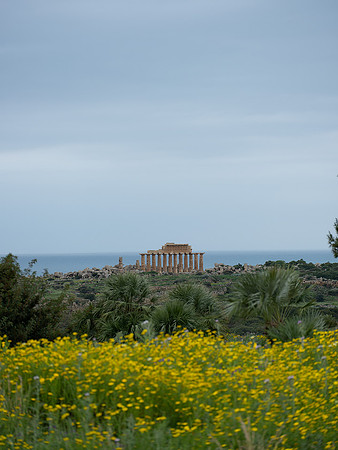 Selinunte