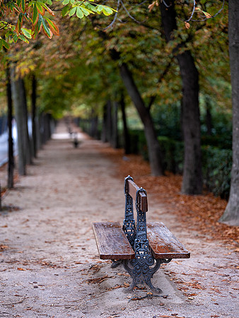 Buen Retiro Park, Madrid