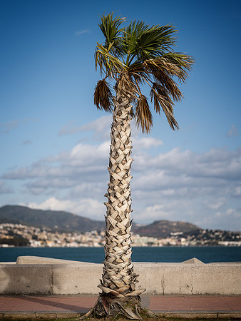 Malaga