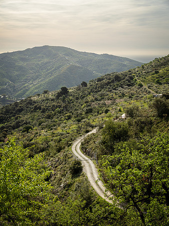 Malaga