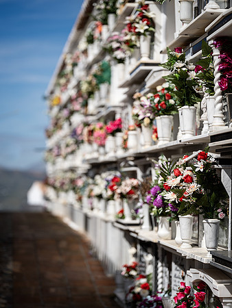Comares